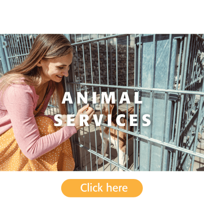 Animal Services